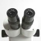 Lupa Binocular 10x a 40x Euromex NOVEX AR Bino .