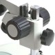 Lupa Binocular 10x a 40x Euromex NOVEX AR Bino .