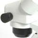 Lupa Binocular 10x a 40x Euromex NOVEX AR Bino .