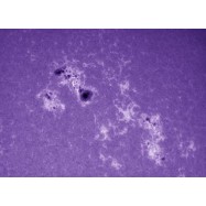 Filtro K line Baader stacked (incluye lámina fotográfica)