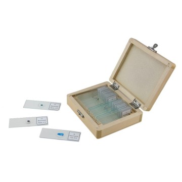 https://www.astrocity.es/205-thickbox/caja-de-25-preparaciones-microscopicas44410.jpg