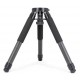 Trípode TC40 carbono para montura AM5 ZWO